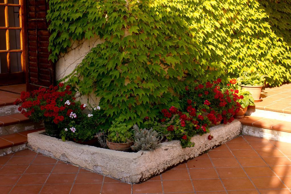 Casa Del Falso Pepe - Scala Dei Turchi Realmonte Exteriör bild