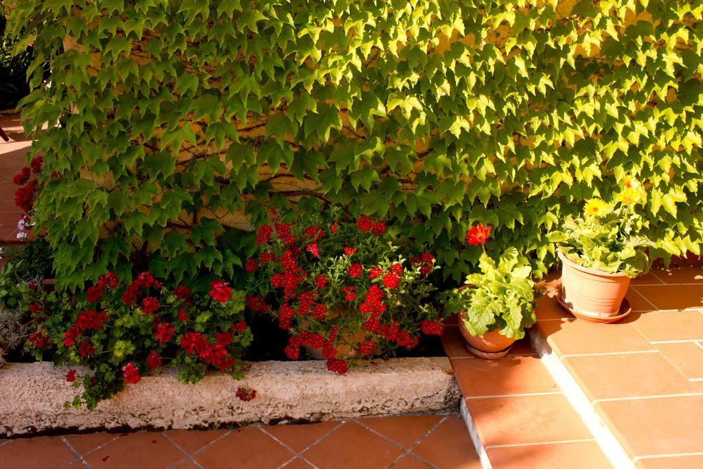 Casa Del Falso Pepe - Scala Dei Turchi Realmonte Exteriör bild